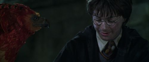 CS-Potterish_09402.jpg
