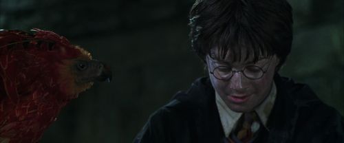Click to view full size image
==============
CS-Potterish_09403.jpg CS-Potterish_09403.jpg