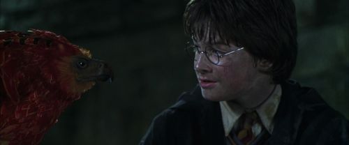 CS-Potterish_09405.jpg