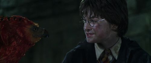 CS-Potterish_09406.jpg