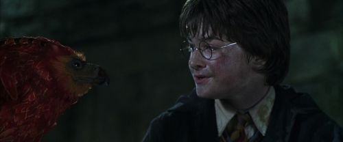 Click to view full size image
==============
CS-Potterish_09407.jpg CS-Potterish_09407.jpg