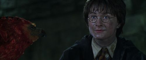 CS-Potterish_09408.jpg