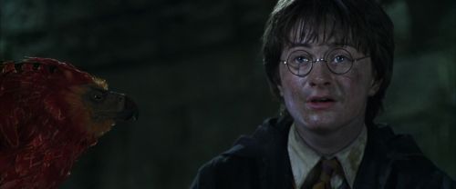 Click to view full size image
==============
CS-Potterish_09409.jpg CS-Potterish_09409.jpg
