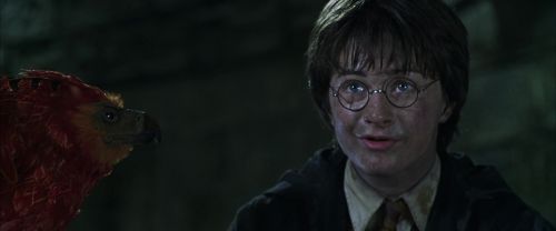 CS-Potterish_09410.jpg