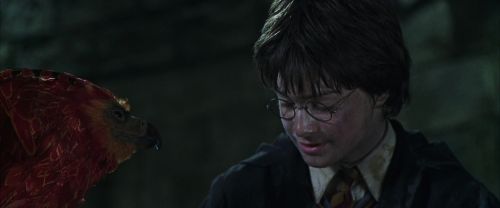 Click to view full size image
==============
CS-Potterish_09414.jpg CS-Potterish_09414.jpg