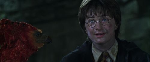 CS-Potterish_09418.jpg