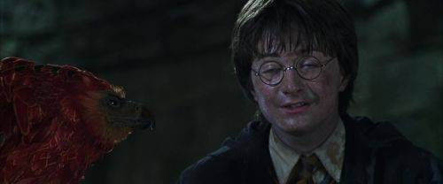 Click to view full size image
==============
CS-Potterish_09419.jpg CS-Potterish_09419.jpg
