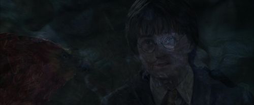 Click to view full size image
==============
CS-Potterish_09421.jpg CS-Potterish_09421.jpg