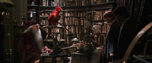Click to view full size image
==============
CS-Potterish_09454.jpg CS-Potterish_09454.jpg