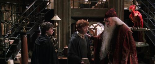 CS-Potterish_09487.jpg