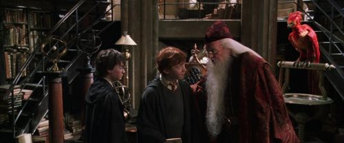 CS-Potterish_09488.jpg