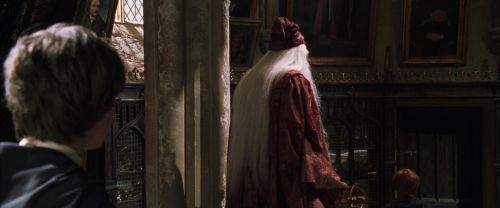 CS-Potterish_09493.jpg