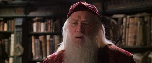 CS-Potterish_09562.jpg