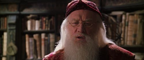 CS-Potterish_09568.jpg