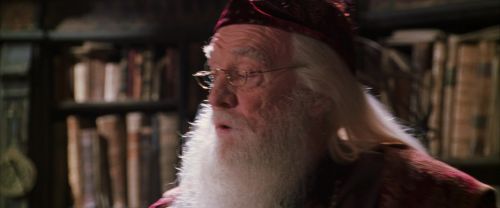 CS-Potterish_09581.jpg