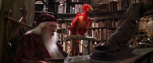 CS-Potterish_09608.jpg