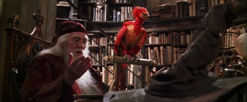 CS-Potterish_09609.jpg