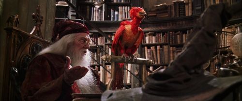 CS-Potterish_09610.jpg