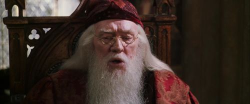 CS-Potterish_09633.jpg