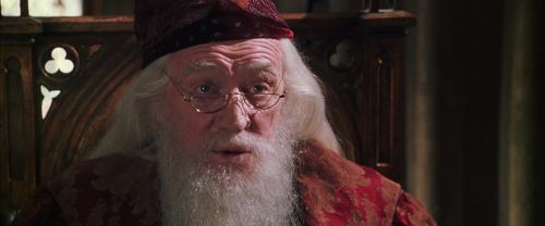 CS-Potterish_09803.jpg