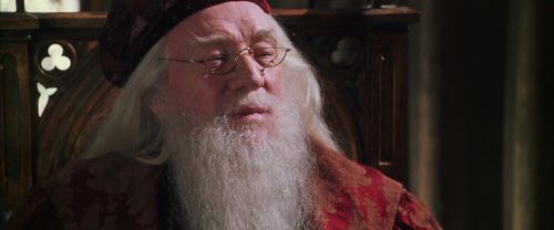 CS-Potterish_09826.jpg