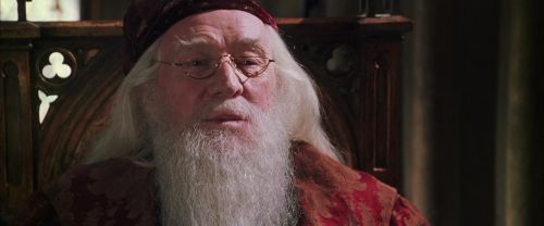 CS-Potterish_09828.jpg