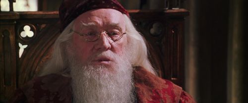 CS-Potterish_09832.jpg