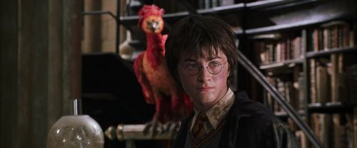 CS-Potterish_09849.jpg