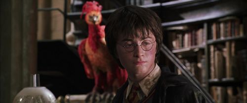 Click to view full size image
==============
CS-Potterish_09851.jpg CS-Potterish_09851.jpg