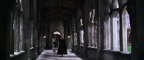 CS-Potterish_09870.jpg