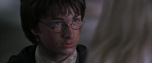 CS-Potterish_09907.jpg