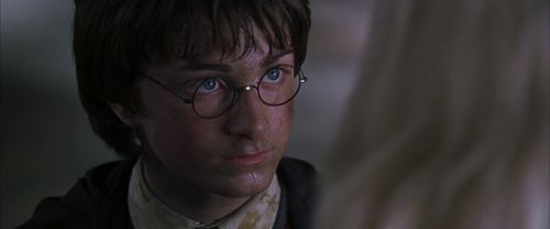 CS-Potterish_09908.jpg
