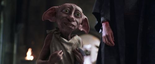 CS-Potterish_09940.jpg