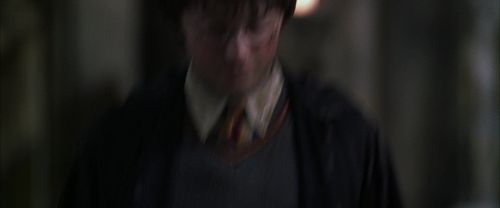 CS-Potterish_09943.jpg