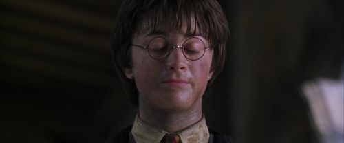 Click to view full size image
==============
CS-Potterish_10007.jpg CS-Potterish_10007.jpg
