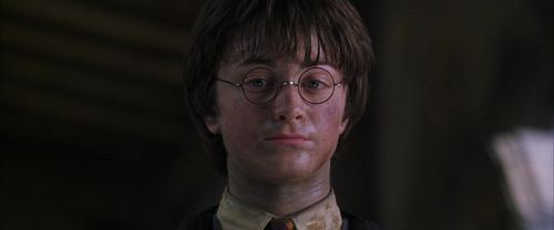 CS-Potterish_10011.jpg