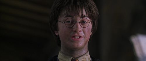 CS-Potterish_10014.jpg