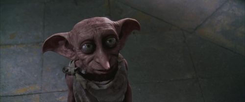 CS-Potterish_10018.jpg