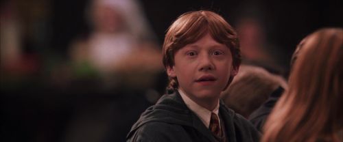 CS-Potterish_10055.jpg