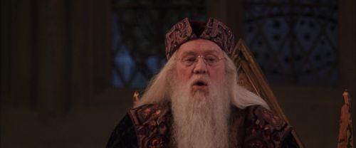CS-Potterish_10122.jpg