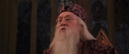 CS-Potterish_10139.jpg