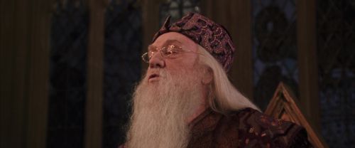 CS-Potterish_10141.jpg