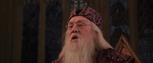 CS-Potterish_10146.jpg