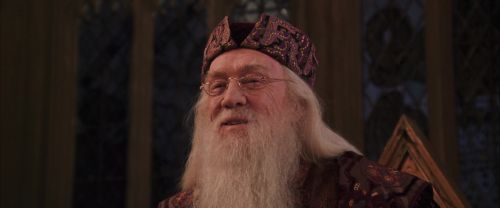 CS-Potterish_10147.jpg