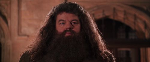 CS-Potterish_10170.jpg