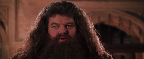 CS-Potterish_10172.jpg