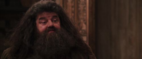 Click to view full size image
==============
CS-Potterish_10183.jpg CS-Potterish_10183.jpg