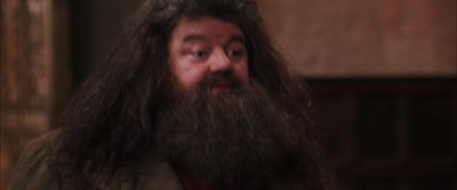 CS-Potterish_10185.jpg