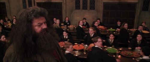 CS-Potterish_10187.jpg