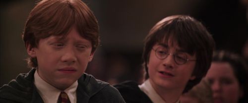 CS-Potterish_10192.jpg